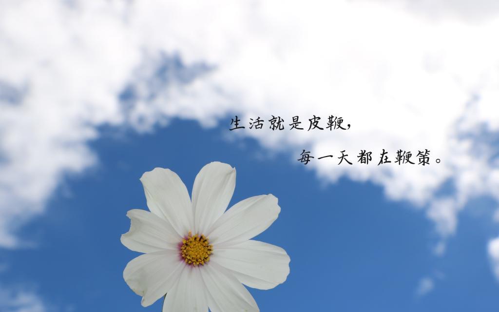 第九层地狱：油锅地狱