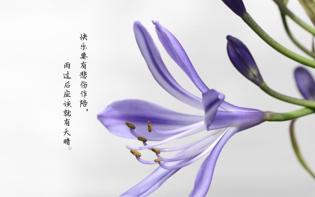 给鬼治病