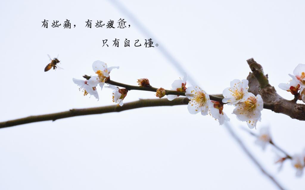 情人节浪漫告白创意蜡烛图片_表达对你的爱意