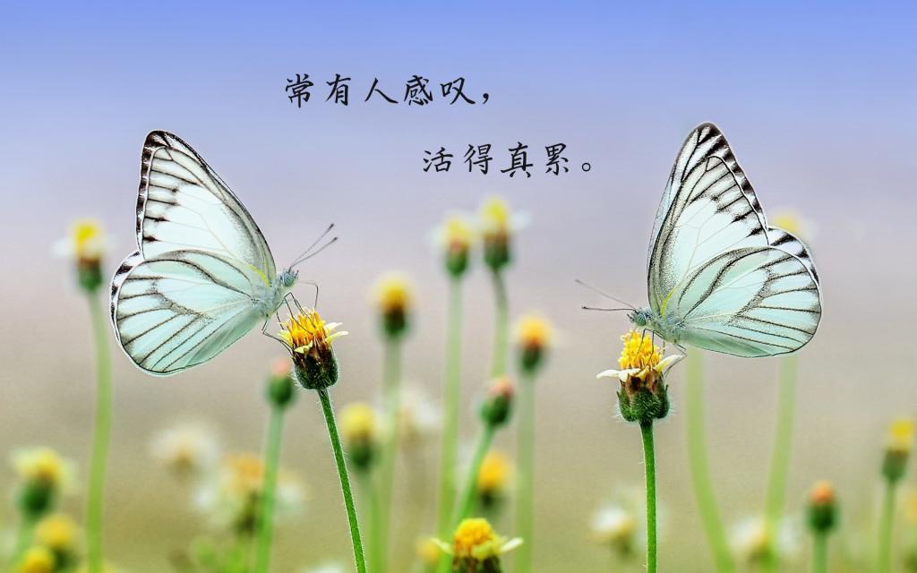 如果孝也有错（中）