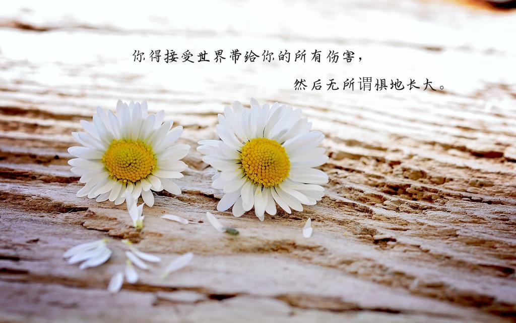 烟雨四月