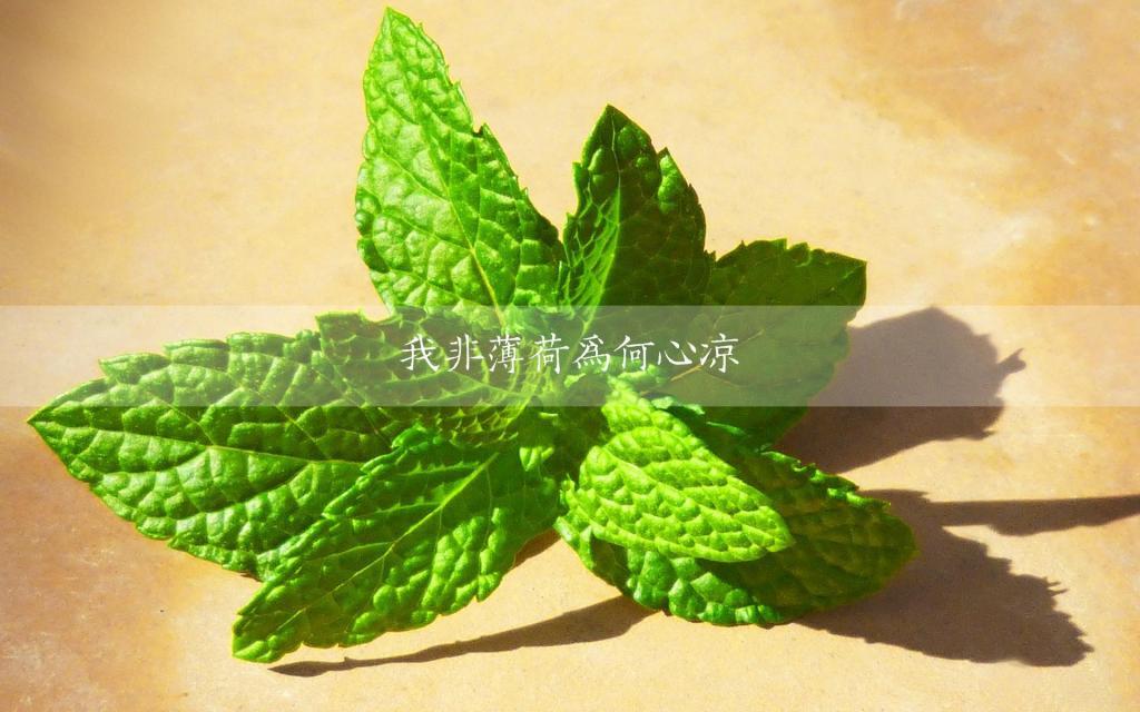 左耳经典语录句子 左耳短句