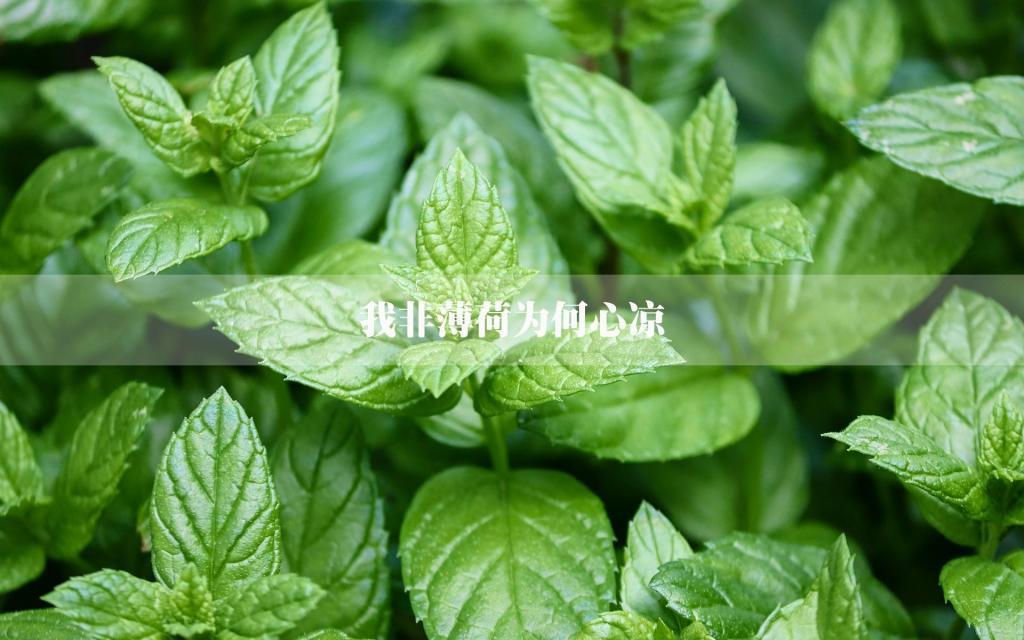 郑渊洁经典语录