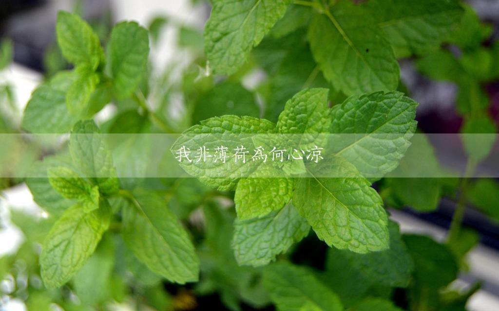 时间的痕迹