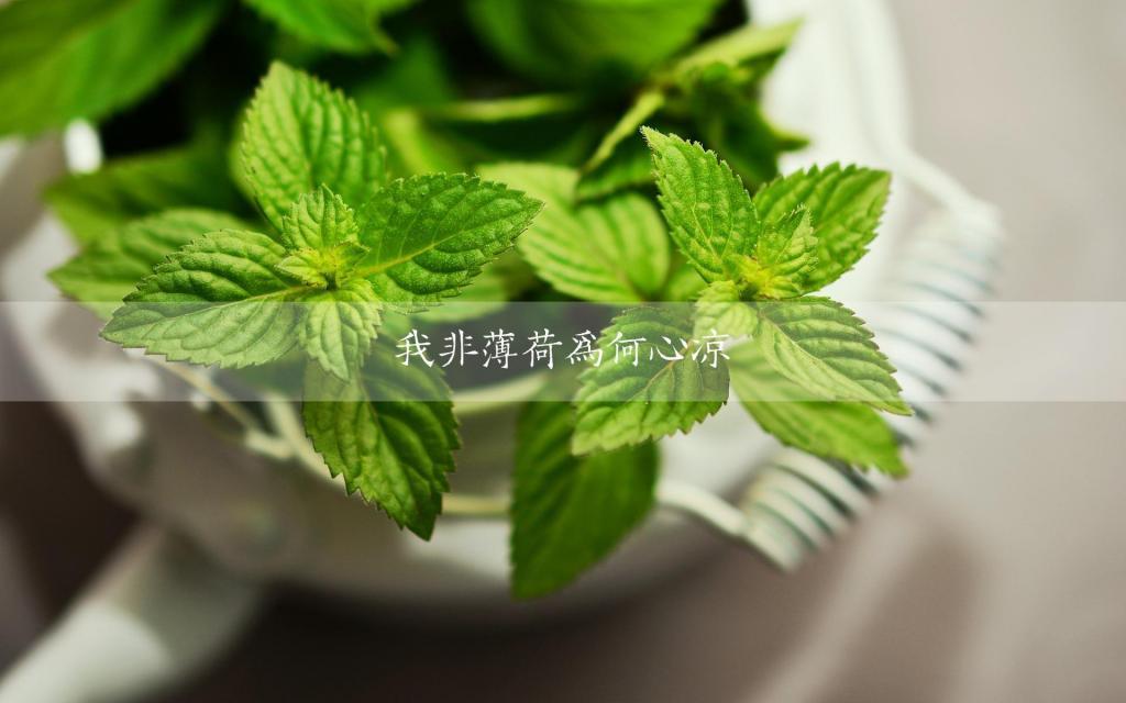 生日小记