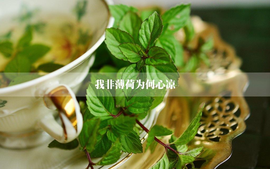 年少时，我们都有过凤梨酥的爱情