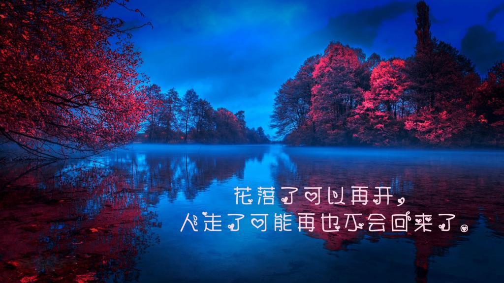 死神的赌局