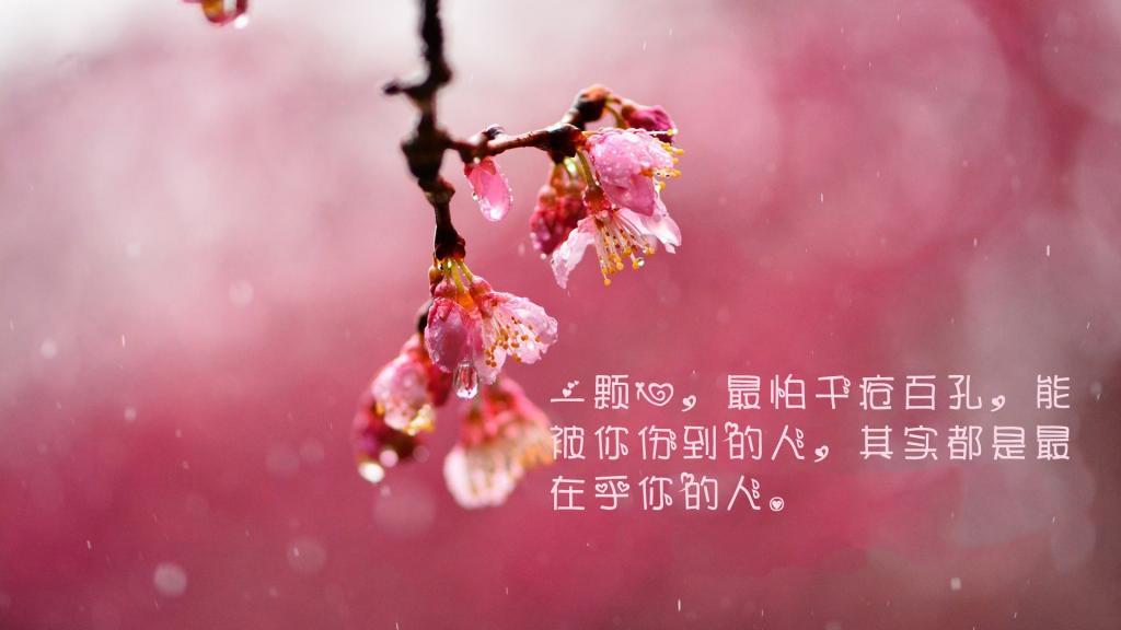 谁偷走了我的梦