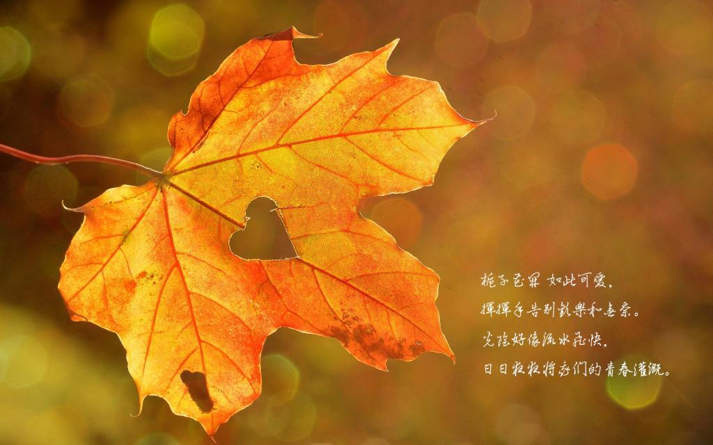 春意阑珊，春情绵绵