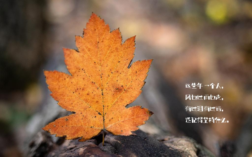 整装再出发