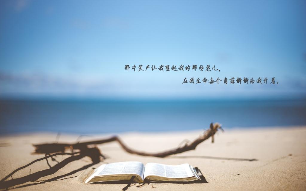 谁能度你