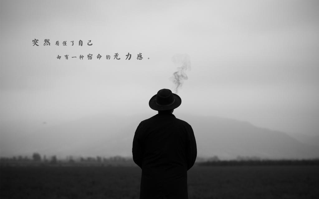 风雨后的玫瑰