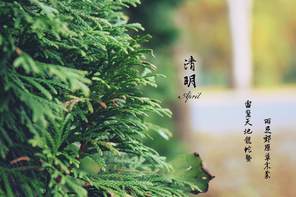 原来你一直在我身边