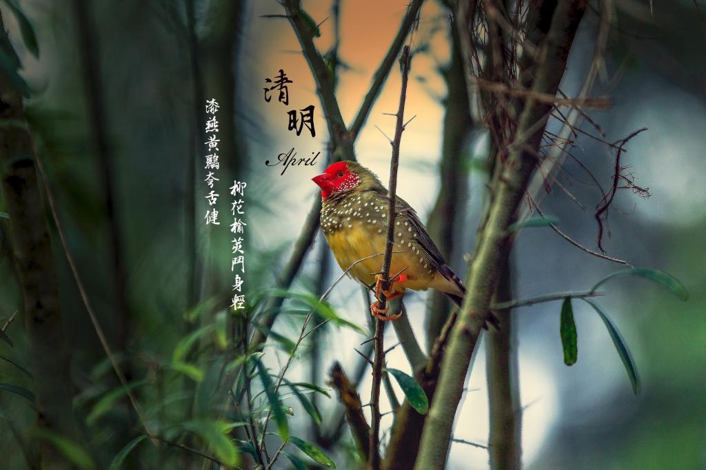 看看恶男怎么调教恶女的，男士必看！