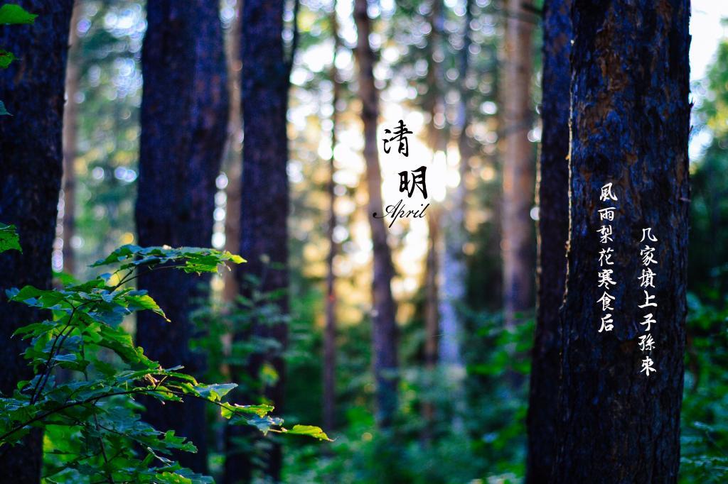 描写冬天的美文摘抄