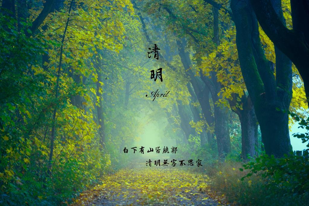 尸体里面的娃娃