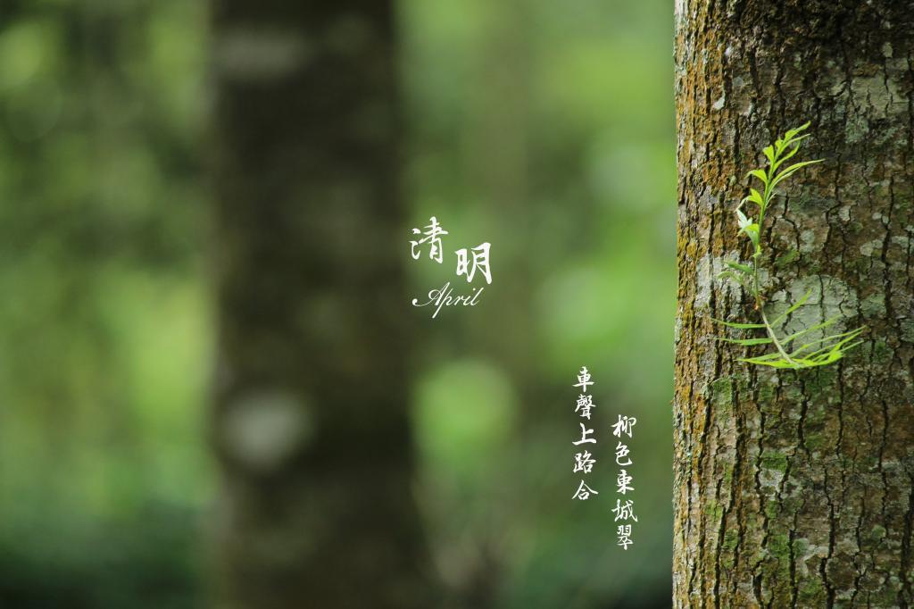 晚安带字幽默图片