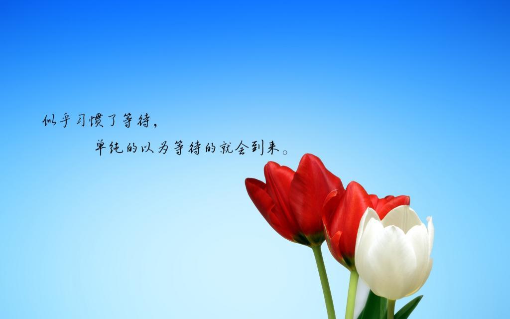 为什么会单身?单身的原因