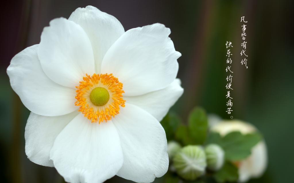 越是高级的东西,越简单