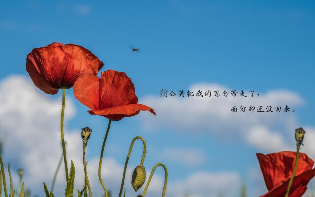 诡异的丝线