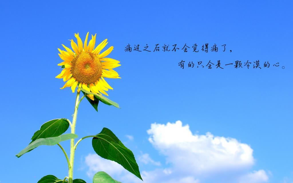 可以爱，可以温暖