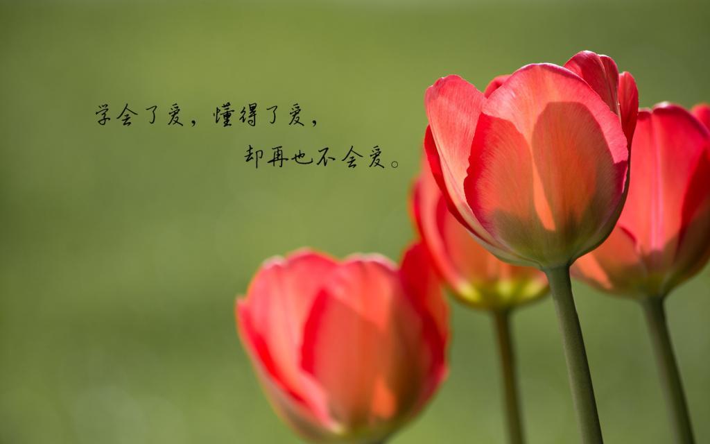 人生感悟名言