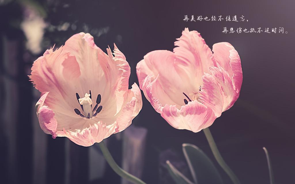 给微软白领上课的“的哥”