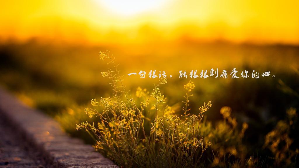 我见山盟