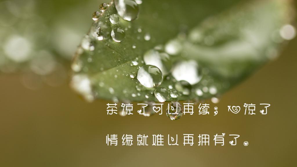 狂舞世界