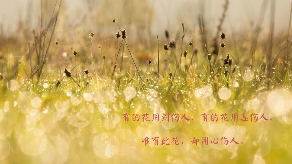 生活就像是天气一样，我们可以预测