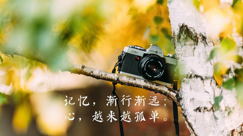 人皮布娃娃