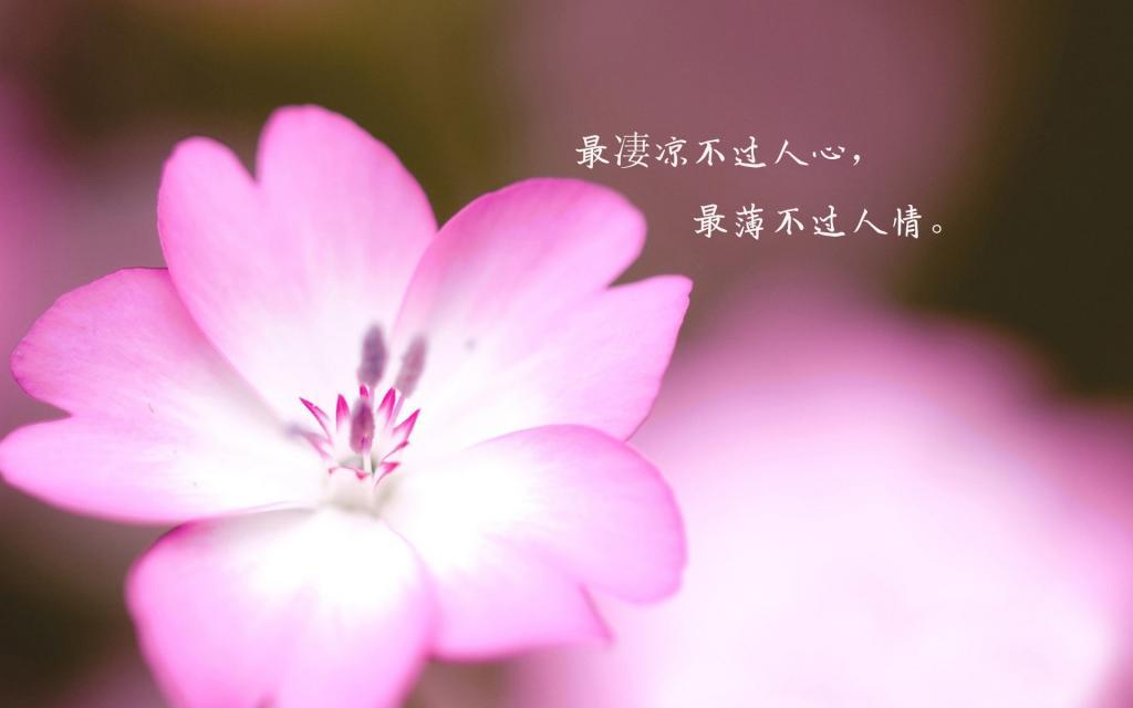 乡村说鬼