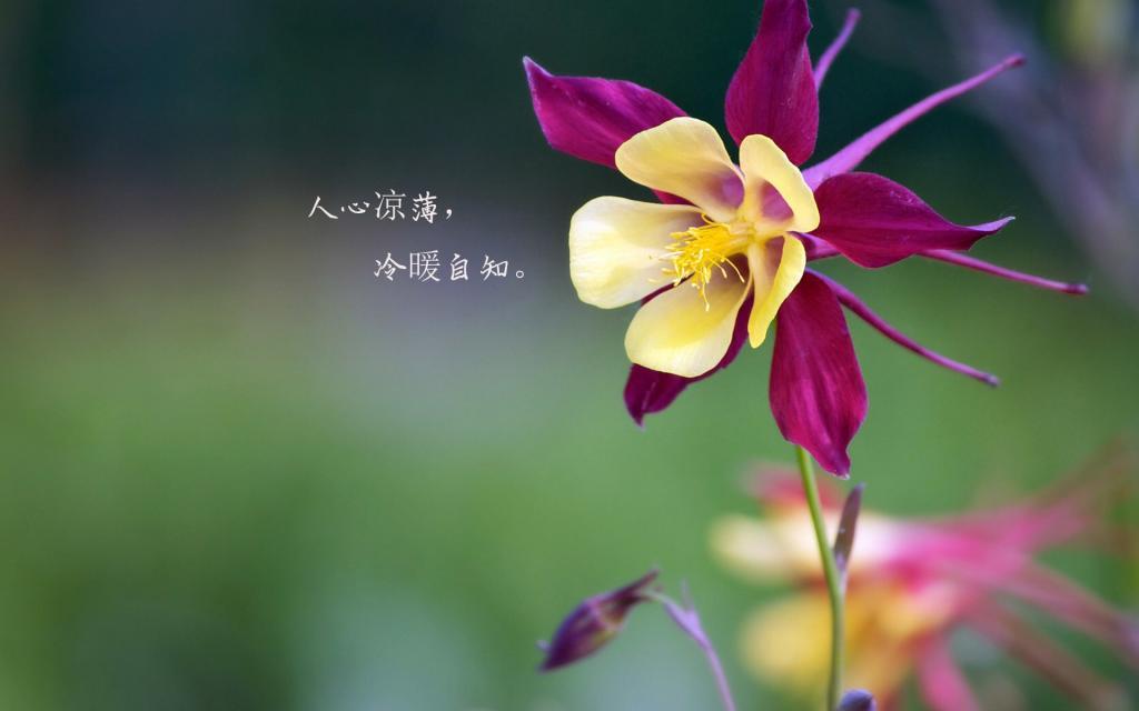 解剖的女尸体睁开了眼