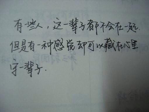 谋杀隐私的人