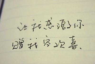 撑起一片蓝天,任生命之花绽放