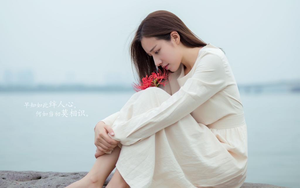 王安石诗词名句,王安石名言