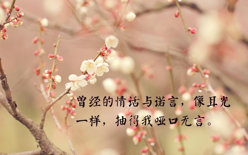 有缘，有爱，有幸福