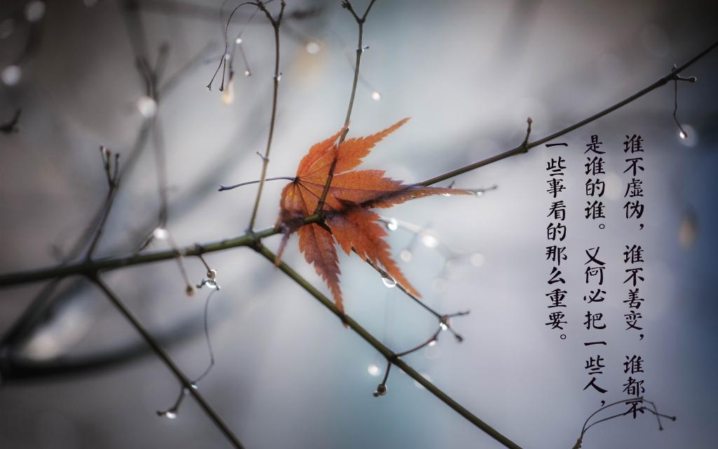 王宝泉经典语录展现天津人的魅力
