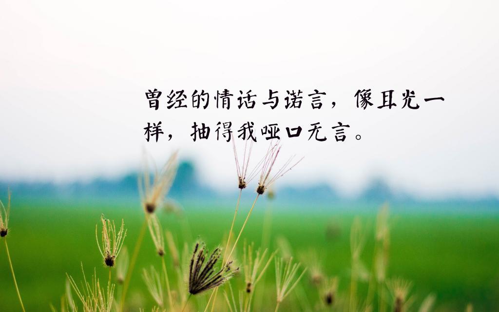 病中的姥姥