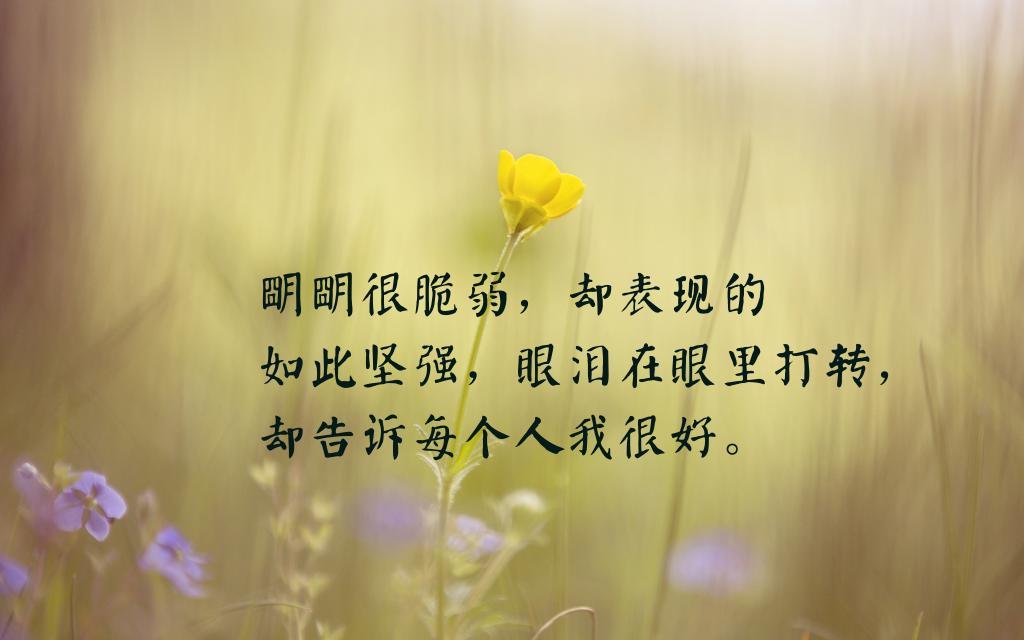 描写少年外貌的句子
