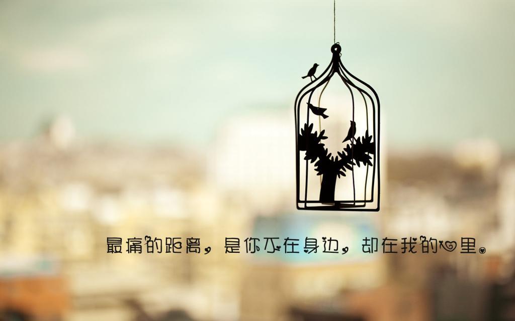 念念不忘,未必有回响