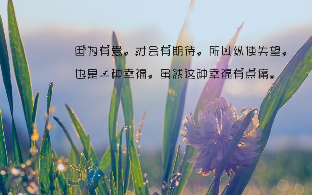 关于狗狗的搞笑笑话