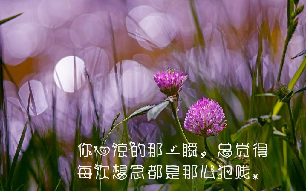 婚姻最好的模样