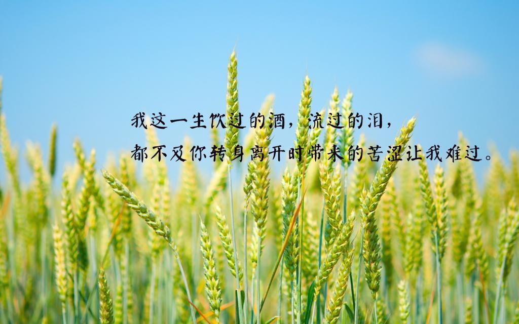 妈妈渐渐老去
