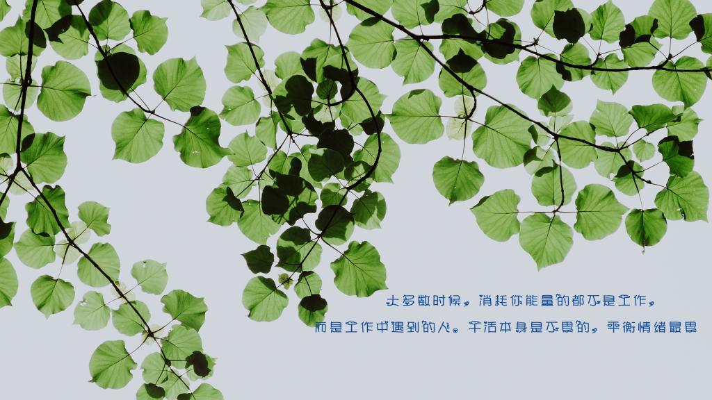 三十而立