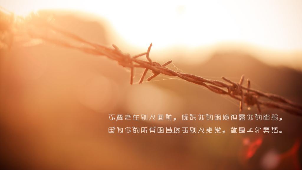 禅入心，沐一缕佛光