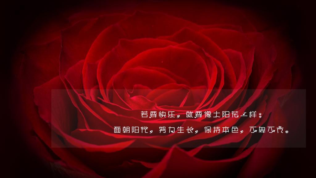 忙里偷闲