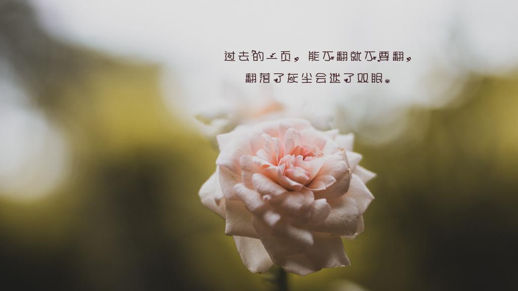 爱情的另一种可能性