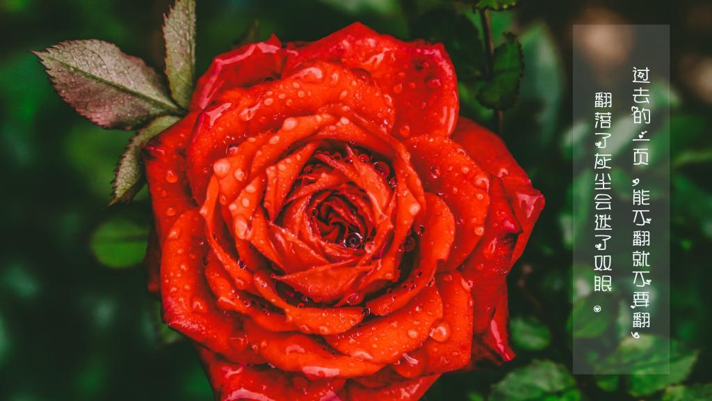 阴阳眼之今生今世