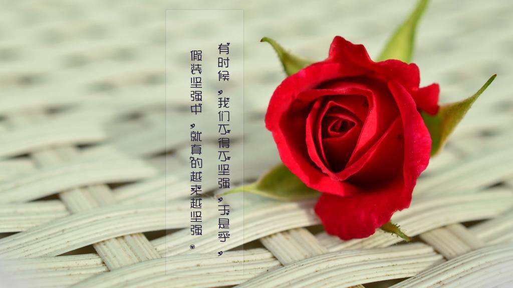 这一辈子就和你死磕到底